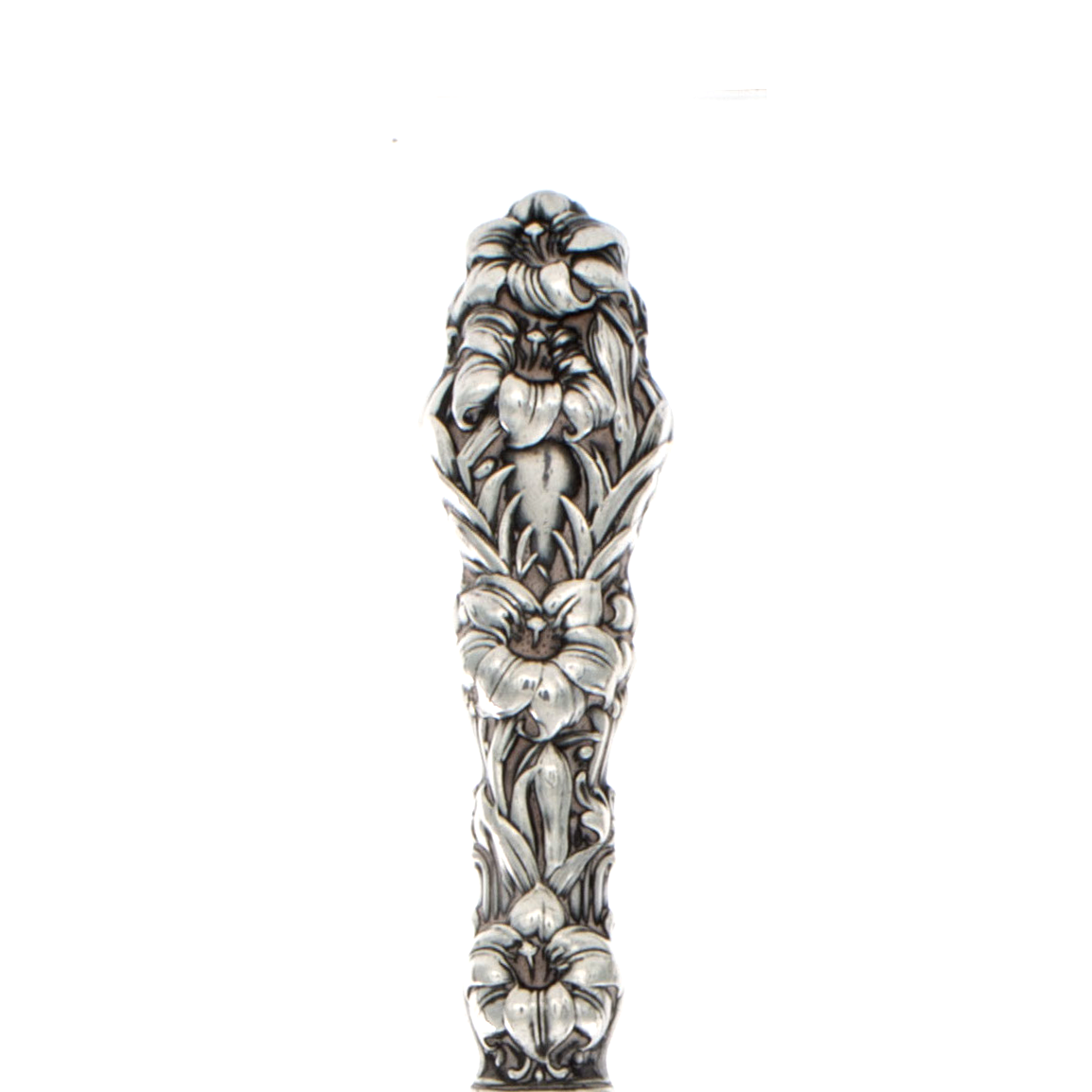 Lily – Louise Doggett Antiques