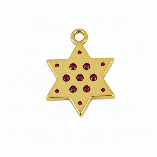 14kt Star Charm with Garnets