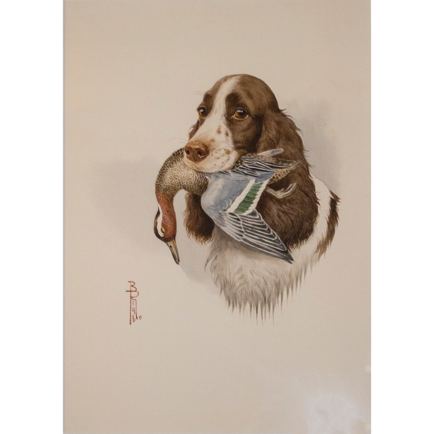 Boris Riabouchinsky (Riab) Watercolor Painting "Cocker Fl. Marron avec Sarcelle D’été"