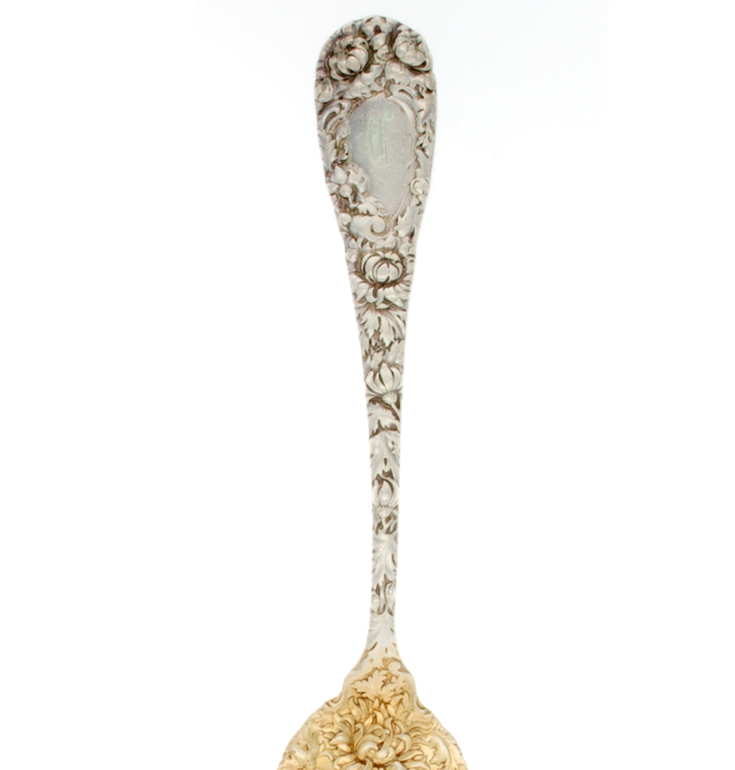 Durgin Chrysanthemum