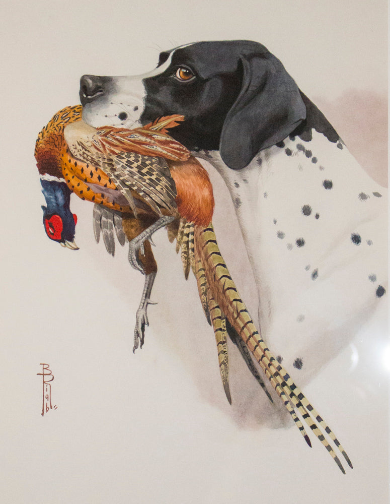 Watercolor Paintings