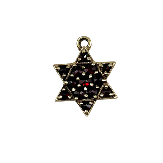 14kt Star Charm with Garnets